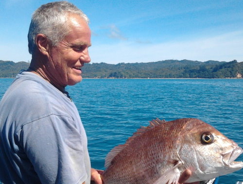 Fishing in The Coromandel